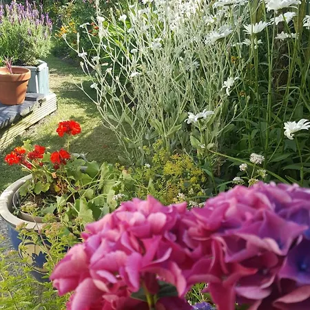 3 Bed Village, Wexford * Curracloe