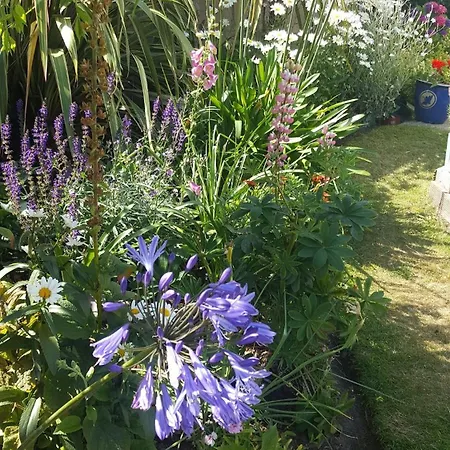 3 Bed Village, Wexford Tatil Evi