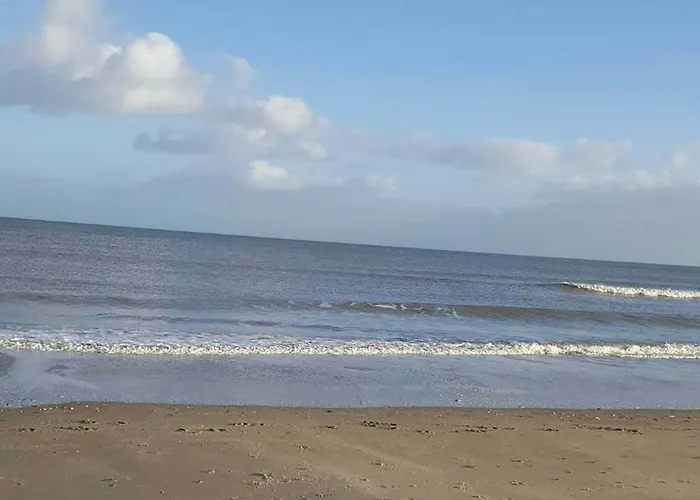 Semesterbostad 3 Bed Village, Wexford