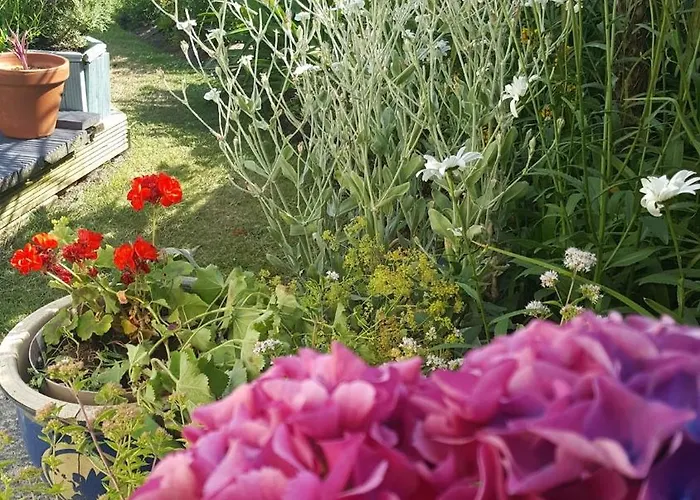 3 Bed Village, Wexford * Curracloe